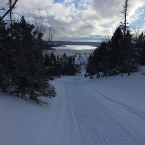 Meet your Posher, Natasha